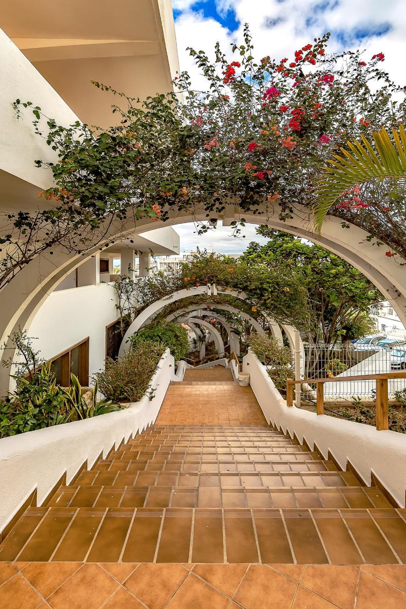 Ocean View Apartments In Park Royal I Costa Adeje  ภายนอก รูปภาพ